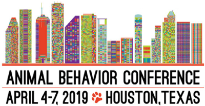 IAABC 2019 Conference Logo